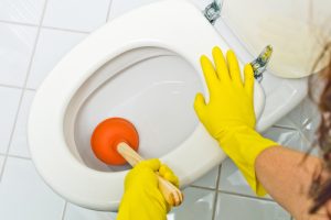 Make sure to always clean the toilet to prevent it being clogged.